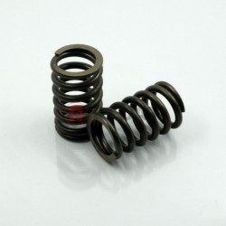 ELEMENT SPRING