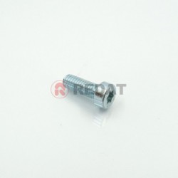 SCREW FOR REGULATOR